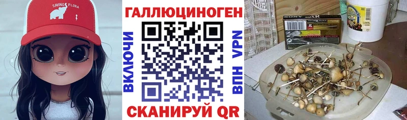 Псилоцибиновые грибы мицелий  Жуков 